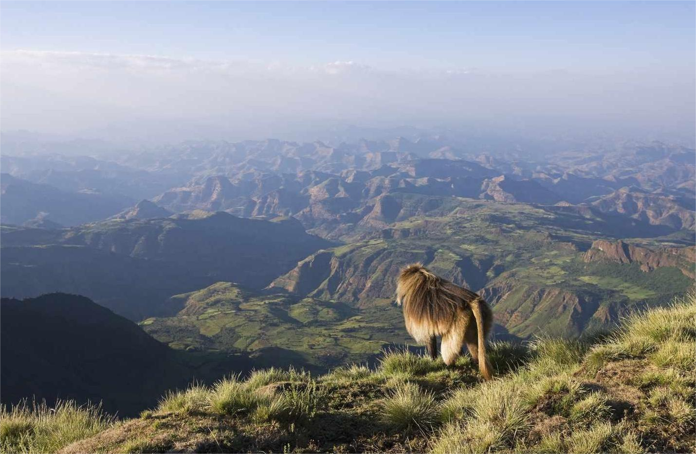 Jagged peaks of the Simien Mountains in Ethiopia, UNESCO World Heritage Site
